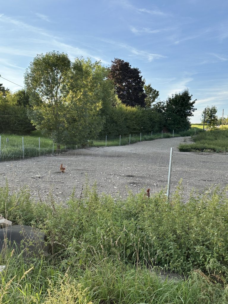 Besuch beim Geflügelhof Ruhdorfer